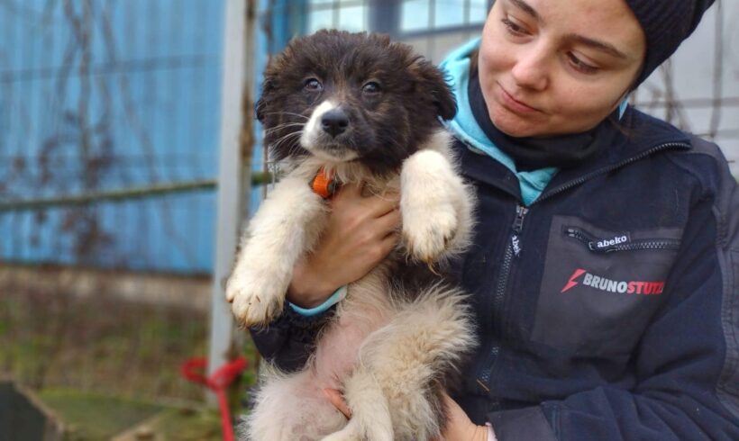 INGE – ca. 3 Monate