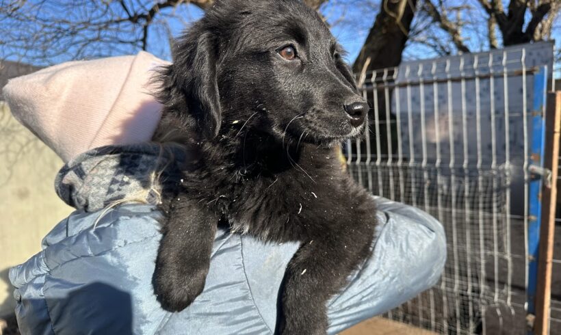 HORA – ca. 5 Monate