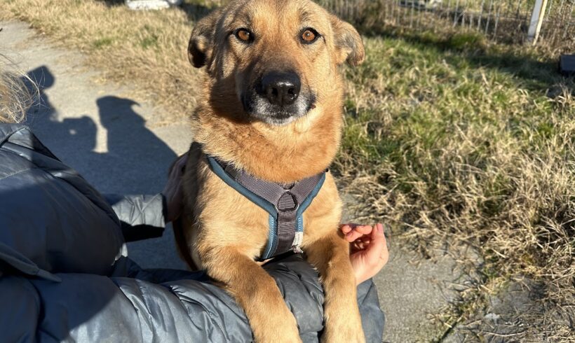 EDDA – ca. 3 Jahre