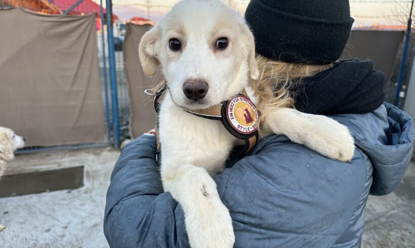 LOLLO – ca. 3 Monate