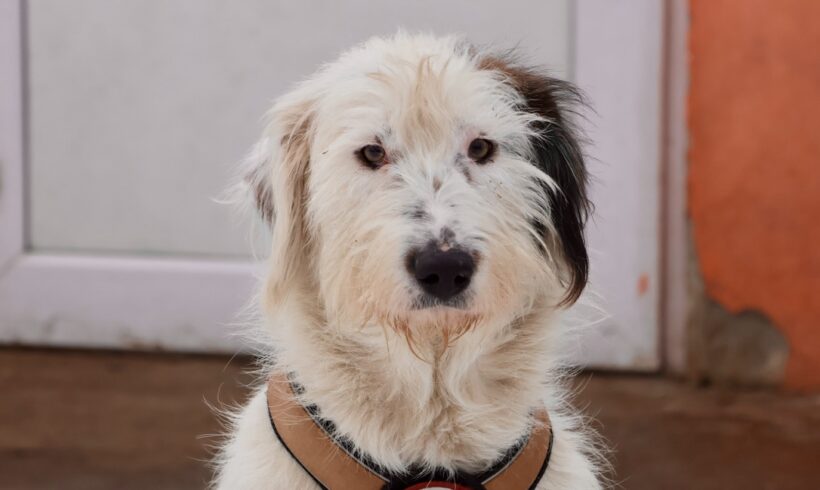 MATHILDA – ca. 6 Monate