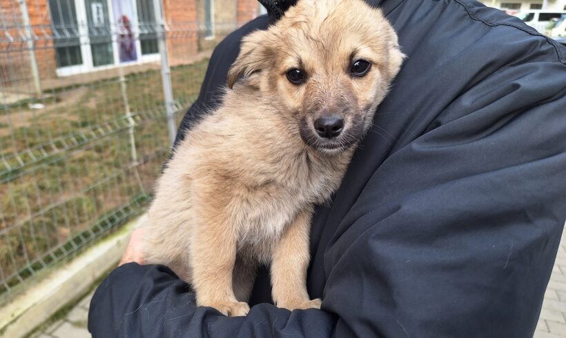 MAILOW – ca. 2,5 Monate