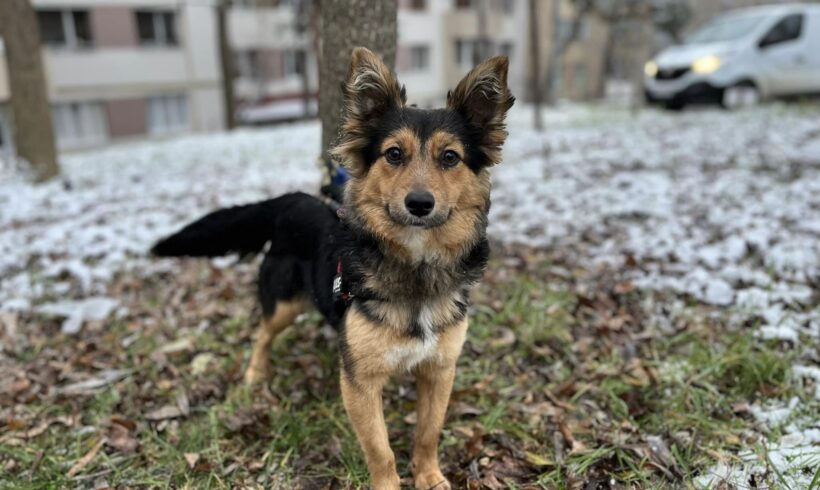 JOTTA – ca. 1,5 Jahre