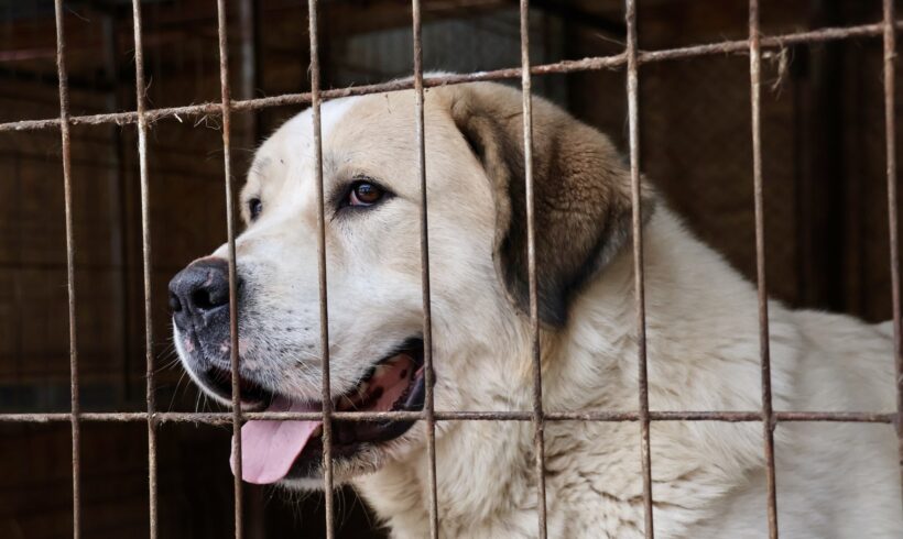 MANITU – ca. 7-9 Jahre