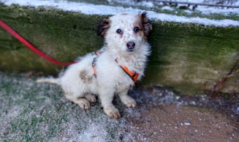 ALANA – ca. 4 Monate