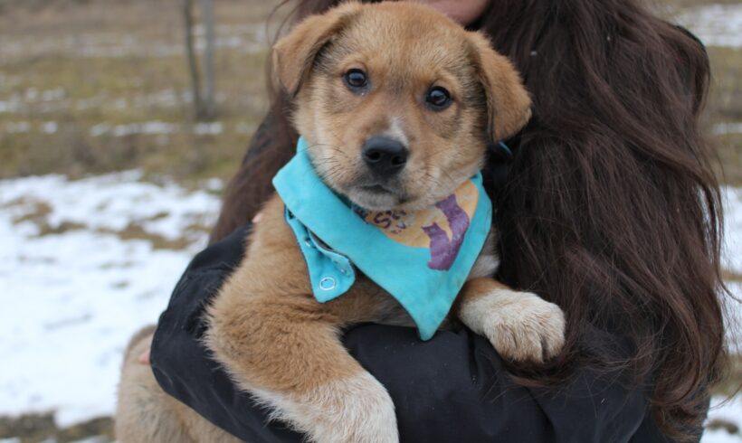 POLDI – ca. 3 Monate