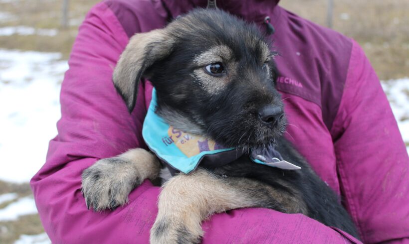 EASY – ca. 3 Monate