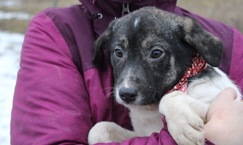 ELLA – ca. 3 Monate