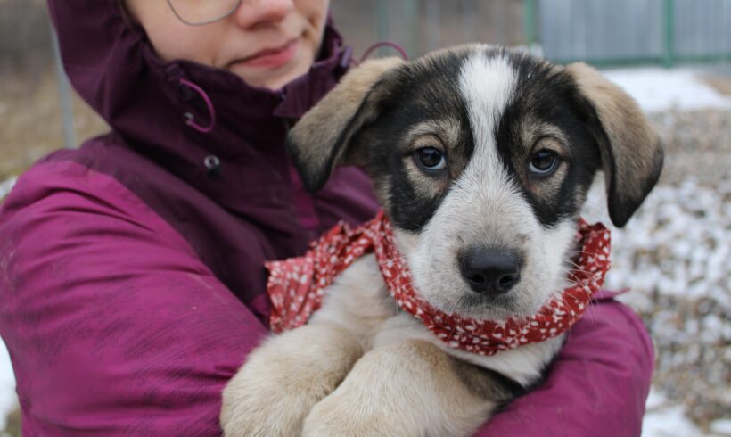 TORA – ca. 3 Monate