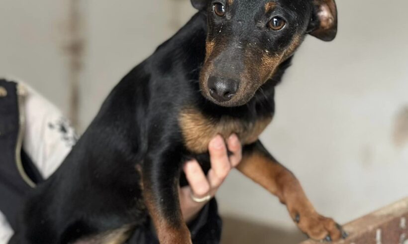 LOUISE – ca. 6 Monate