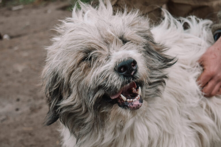 430484378_7229148823830788_3833848729828333409_n