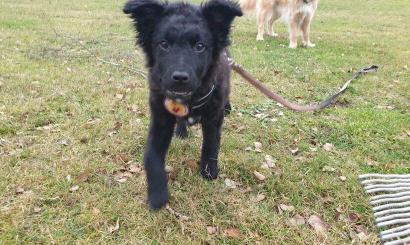 AYLA – ca. 5 Monate