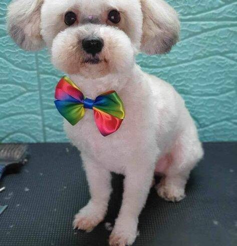 BARBARA – ca. 9 Jahre