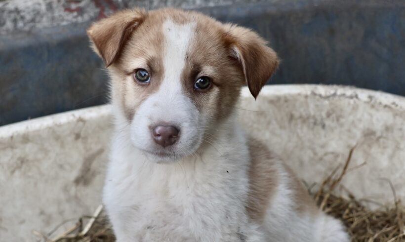 MORTY – ca. 4 Monate