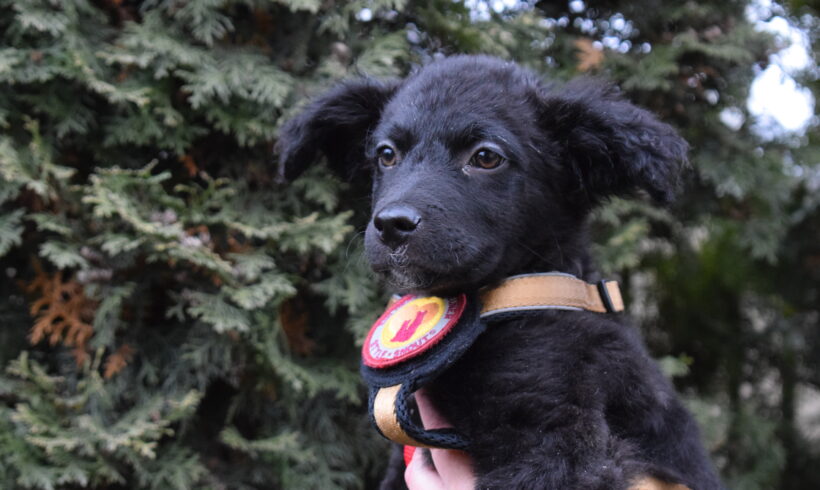 ILVY – ca. 4 Monate