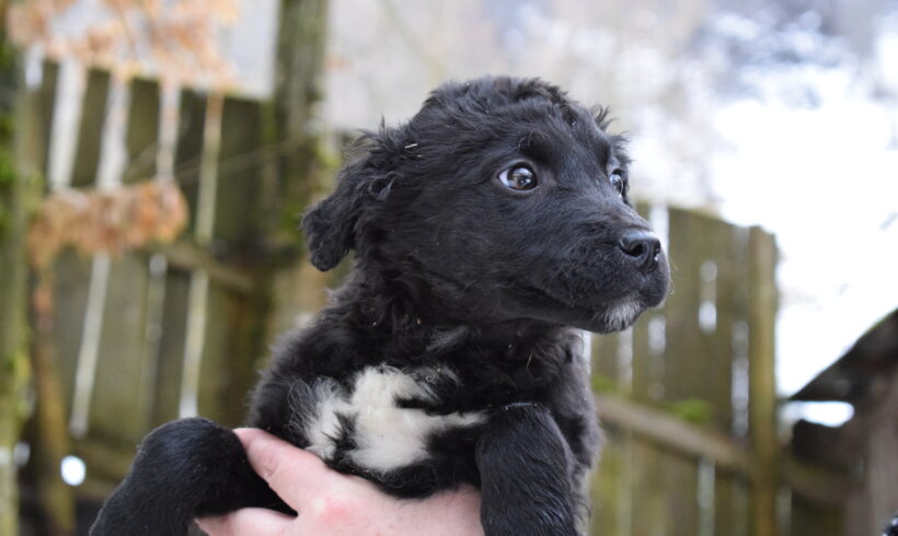 NAYA – ca. 4 Monate