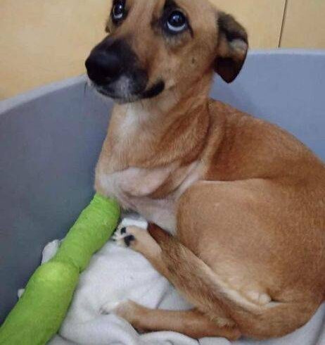 FORTUNA – ca. 2 Jahre