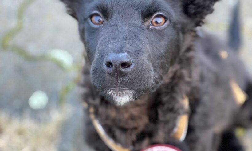 NEYMAR – ca. 5 Monate