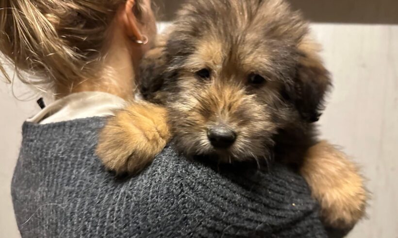 ESPEN – ca. 3 – 4 Monate