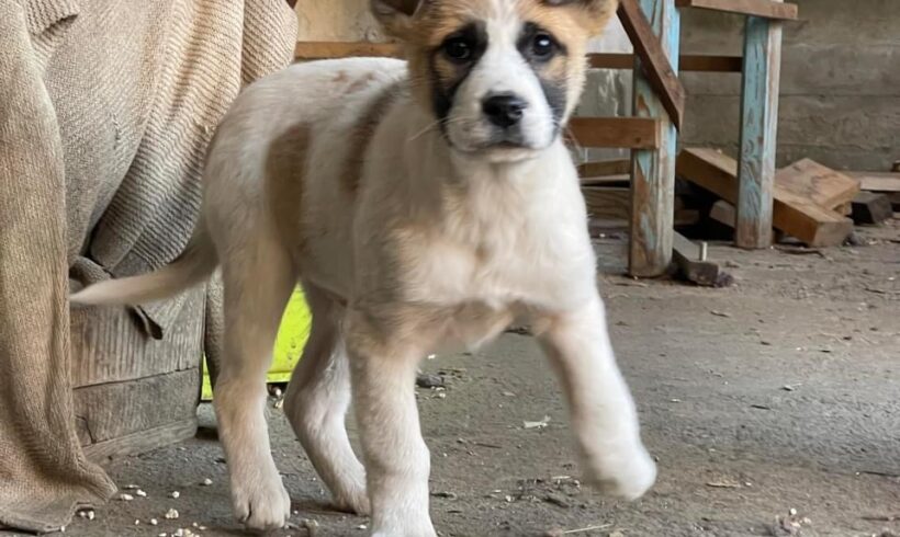 LENNI – ca. 3 Monate