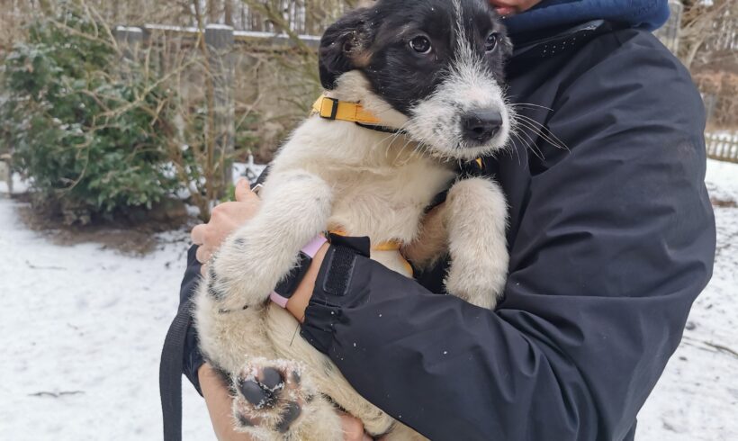 KAT – ca. 4 Monate