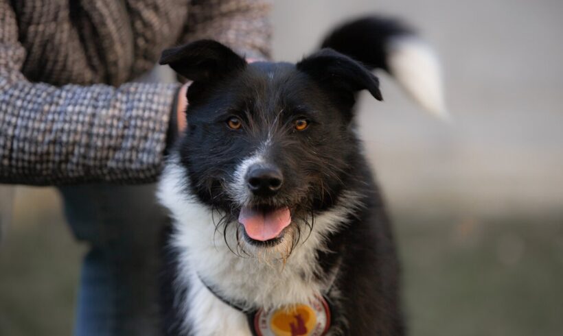 XSAVI – ca. 2 Jahre