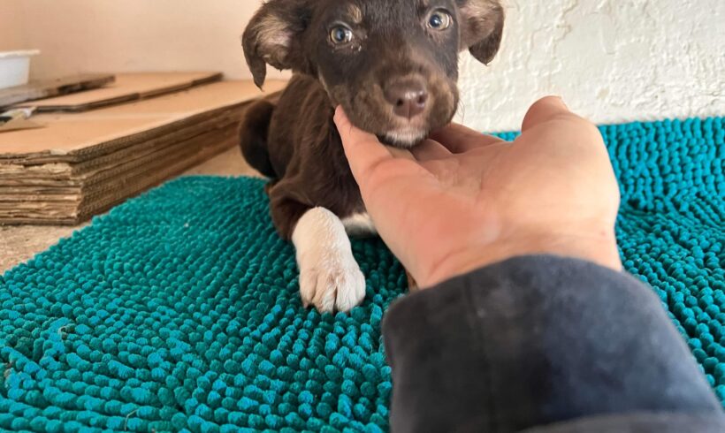 ELLA – ca. 4 Monate