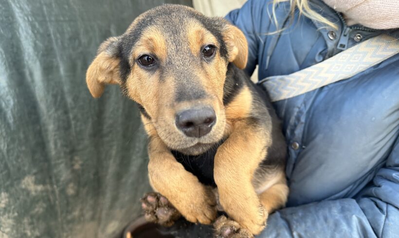 NATHAN – ca. 4 Monate