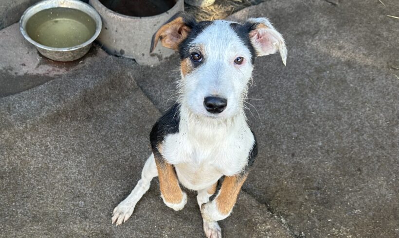 NOAH – ca. 4 Monate