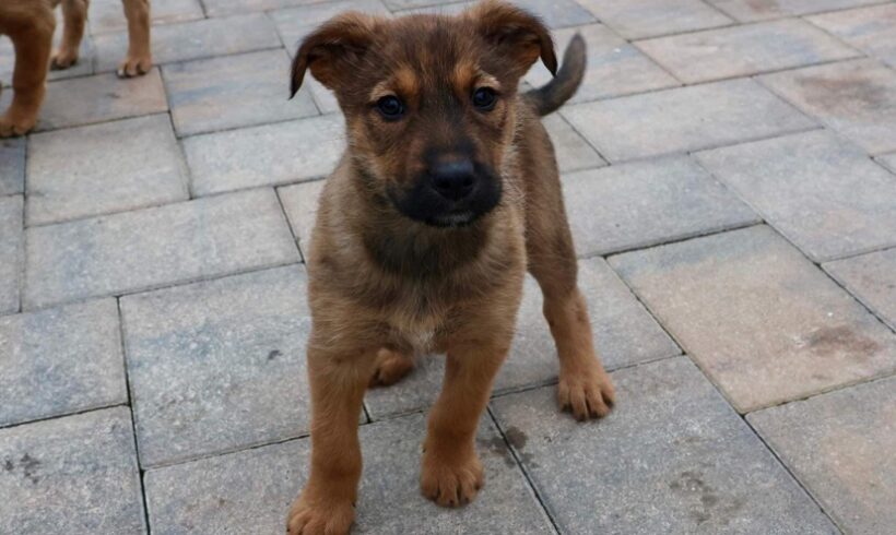 JYN – ca. 4 Monate