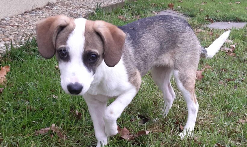 SOFI – ca. 6 Monate