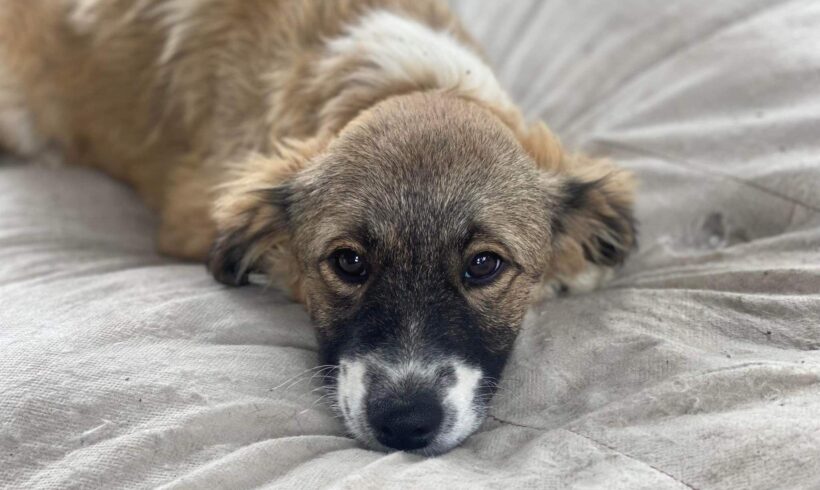 LENA – ca. 6 Monate