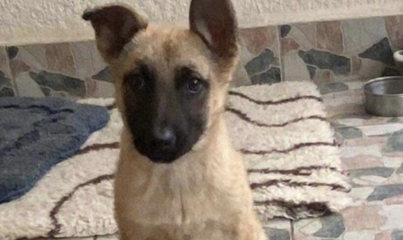 LUNA – ca. 4 Monate