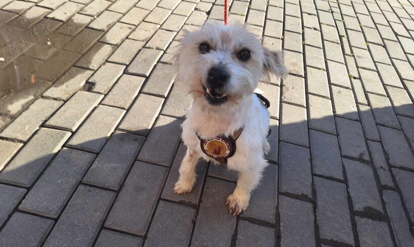 NOLA – ca. 8 Monate