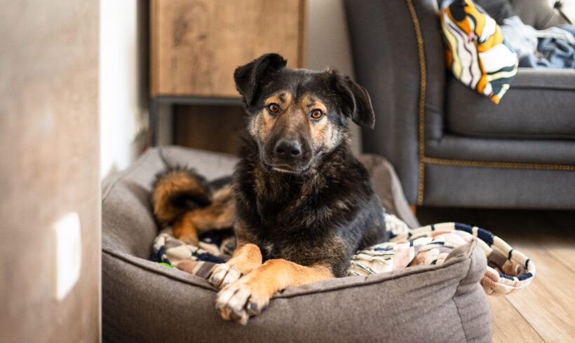 MARIE – ca. 1,5 Jahre