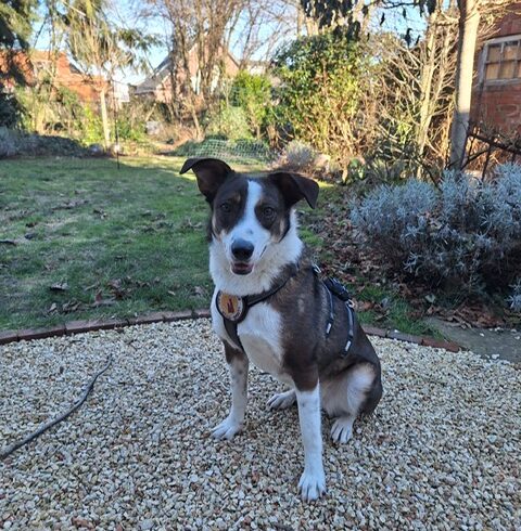 MARTA – ca. 2 Jahre