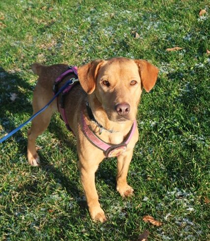 LYKKA – ca. 1,5 Jahre