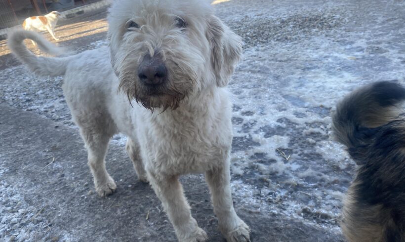 PAULINE – ca. 2 Jahre