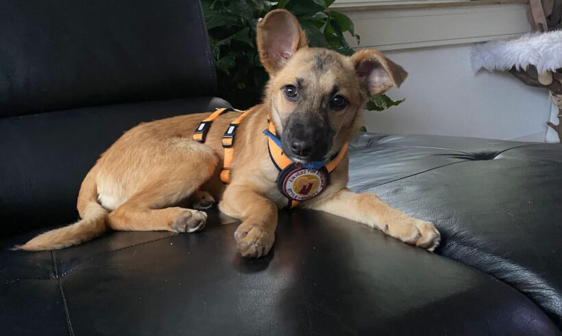 TOIVI – ca. 4,5 Monate