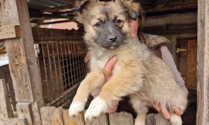 LUNA – ca. 3,5 Monate