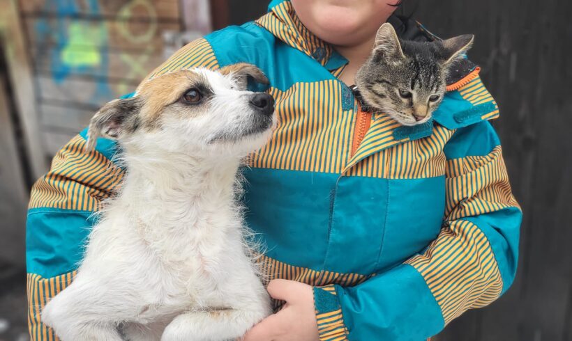 JUDY – ca. 1 – 2 Jahre