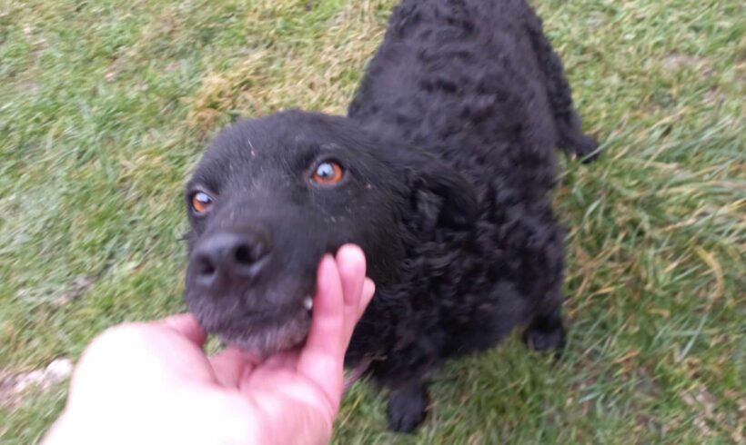 SAILAWAY – ca. 2 Jahre