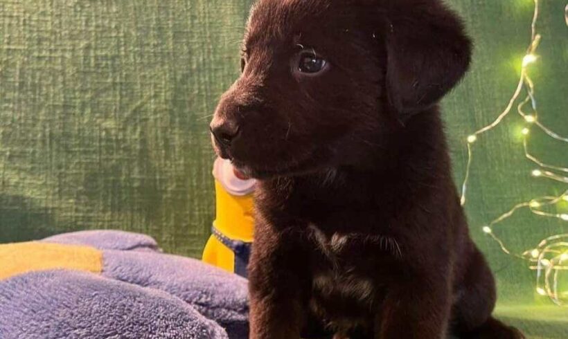 JOHN BOY – ca. 2 Monate