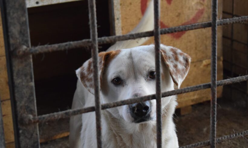 KLEINER ONKEL – ca. 1,5 Jahre