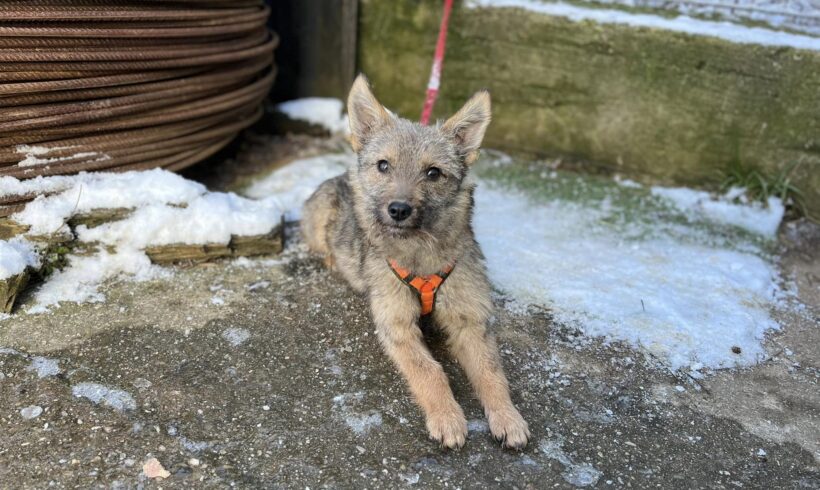 LOTTI – ca. 5 Monate