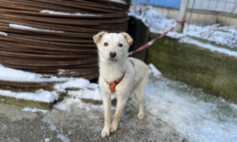 ANOUK – ca. 4 Monate