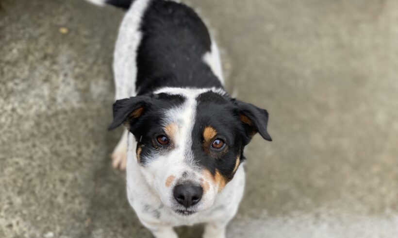 WISCONSIN – ca. 4 Jahre