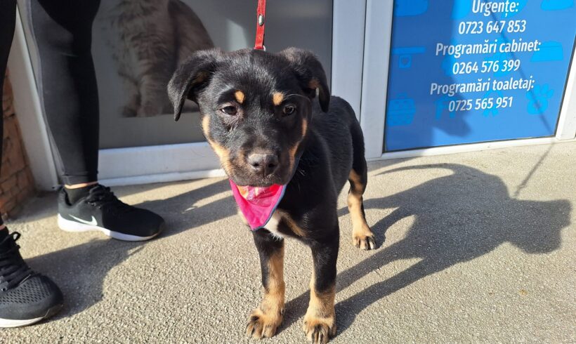 LUISE – ca. 3 Monate