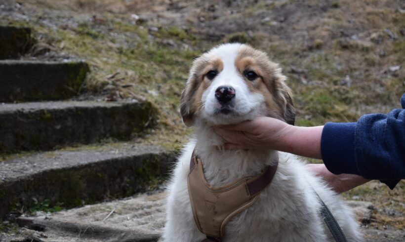 SUVI – ca. 4 Monate