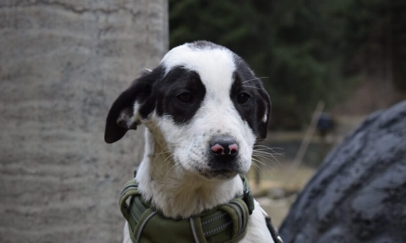 LARISSA – ca. 4 Monate